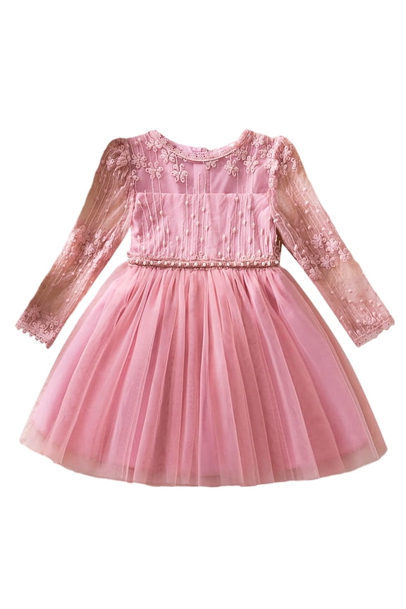 Toddler Girls Lace Dress Floral Embroidery Long Sleeve Tulle Overlay Elegant Gown for Spring Wedding Flower Girl and First Communion