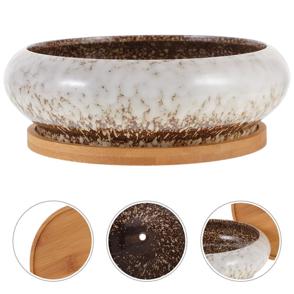 RENACLIPY 1Set Durable Ceramic Cactus Planter Pot for Succulent Plants and Home Decor