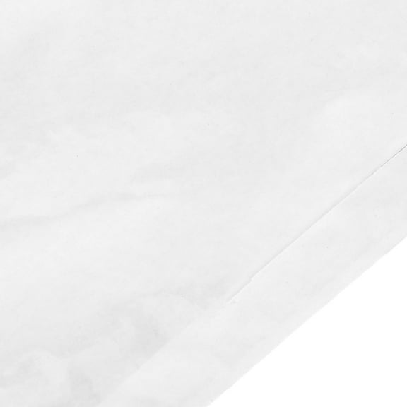 LEXSOMEO 100PCS Self-Adhesive Shipping Label Sleeves - Clear Plastic Envelopes List Mailing Envelopes Shipping Envelopes for Packing Slips Invoices Documents