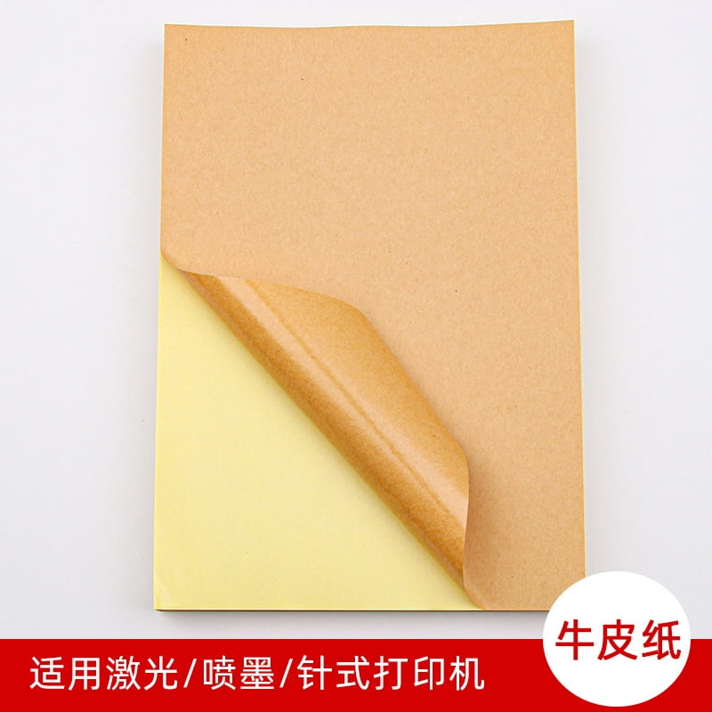 LEXSOMEO 100Sheet Blank Printable Labels For Printers Scrapbooking And ...