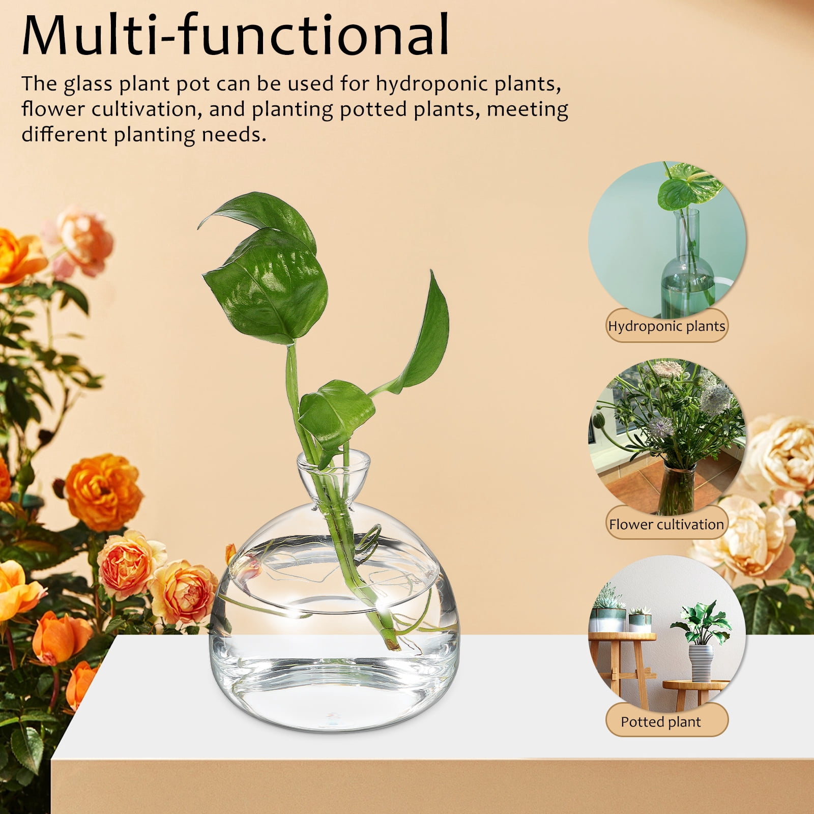 RENACLIPY Clear Decorative Vase Glass Plant Pot Transparent 1Pcs ...