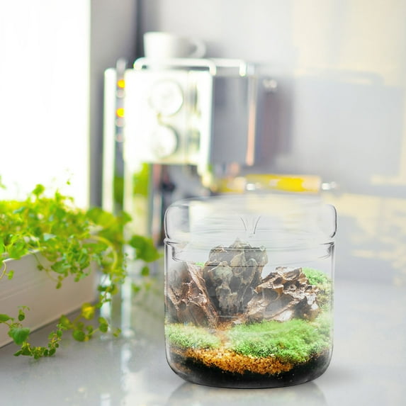 RENACLIPY Glass Terrarium Clear Design for Indoor Plants, Home Decor, Sturdy Plant Ecosystem Container