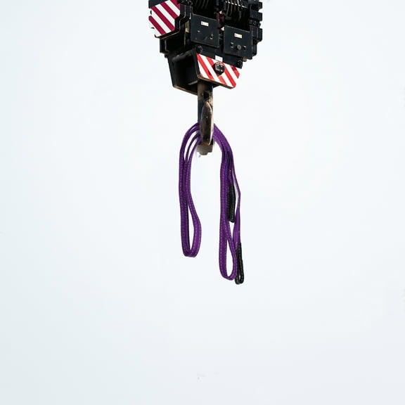 LEXSOMEO Lifting Sling Lifting Strap Moving Strap Lift Sling Heavy Duty Cargo Sling 5 Meter