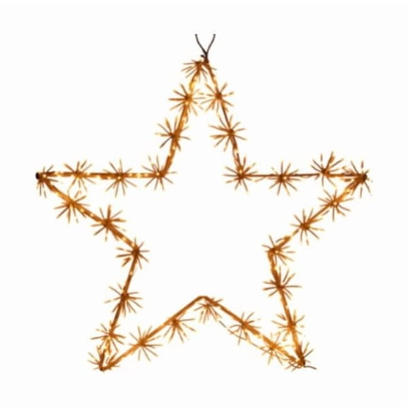 LF Products PTE G48 GU20180045 30 in. Star with White LED Cluster Lights, Gold