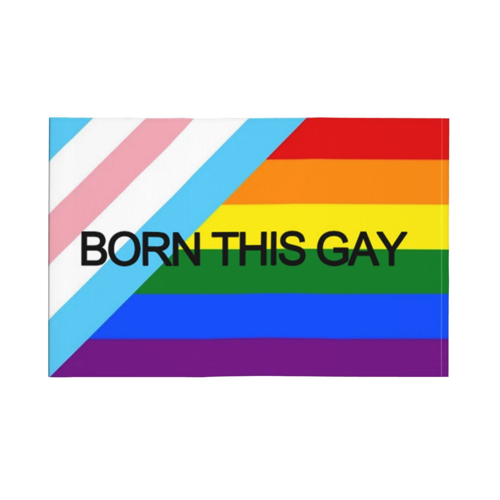 LGBT Born This Gay Pride Flag Car Flags Without Window Clip Flagpole 12 ...