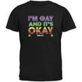 thumbnail image 1 of LGBT Gay Pride It's Okay I'm Gay Ireland Black Adult T-Shirt - 2X-Large, 1 of 1