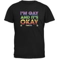 thumbnail image 1 of LGBT Gay Pride It's Okay I'm Gay Portland Black Adult T-Shirt - 2X-Large, 1 of 1