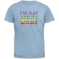 thumbnail image 1 of LGBT Gay Pride It's Okay I'm Gay Portland Light Blue Adult T-Shirt - Large, 1 of 1