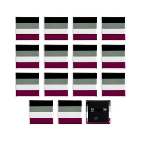 LGBTQ+ Asexual Pride Flag Pinback Buttons - 1.5 Inch Square - 15 Pack