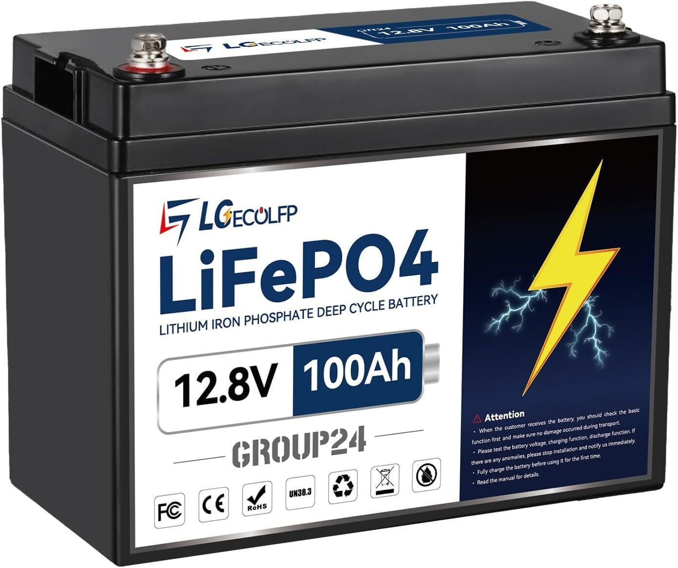 LGECOLFP 12V 100Ah Battery LiFePO4 Lithium Group 24 Battery for RV Marine Solar 100A BMS