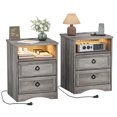 thumbnail image 1 of LGHM Nightstands Set of 2 with Charging Station & LED Light, Bedside Table with 2 Drawers for Bedroom, Living Room, Gray, 1 of 8