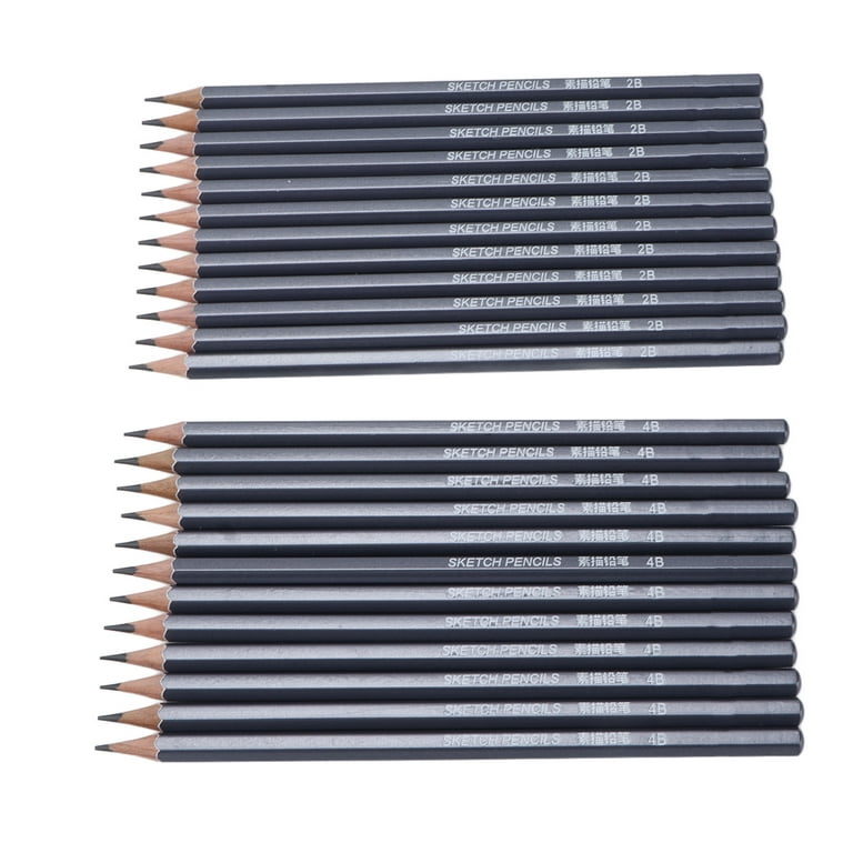 Professional Drawing Sketching Pencil Set - 14 Pieces Art Drawing Graphite  Pencils(12B - 6H), Ideal for Drawing Art, Sketching, Shading, for Beginners