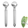 thumbnail image 1 of LHNFT 2Pcs Cactus Peeler, 2025 New Pelador De Nopales, Multifunctional Peeling Spoon, Stainless Steel Rice Meat Squeezing Meatball Kitchen Tools, Easy to Use, 1 of 9