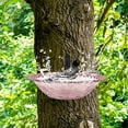 thumbnail image 1 of LHNFT Wall Mounted Bird Bath for Outside, 9 Inches Tree Mounted Birdbath Bowl, Transparent Flower-Shaped Hummingbird Feeder Tray for Trees Walls Wooden Fences, 1 of 7