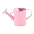 thumbnail image 1 of LHNFT Watering Can for Kids - Play Time or Practical Use - Childs Metal Watering Can - Small Water Can for Boys and Girls, Summer Perfect Gift for Kids - 20 oz, 1 of 5