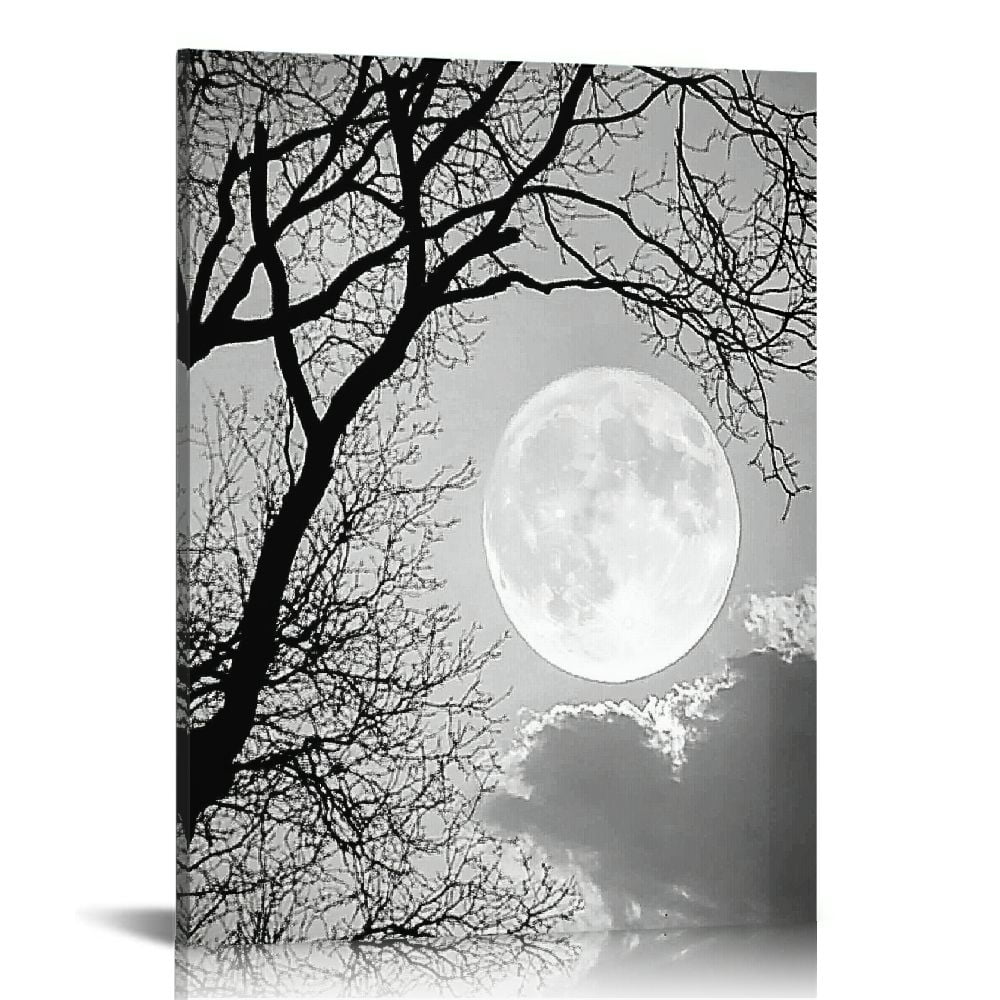 芸術写真 Nature Photograph Full Moon Art Print Amazon.com: B2T Canvas Print Wall Art Full Moon in Clouds Over