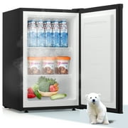 LHRIVER Upright Freezer, Energy Saving 3.0 Cu.ft Single Door Compact Upright Freezer with Reversible Door(Black)