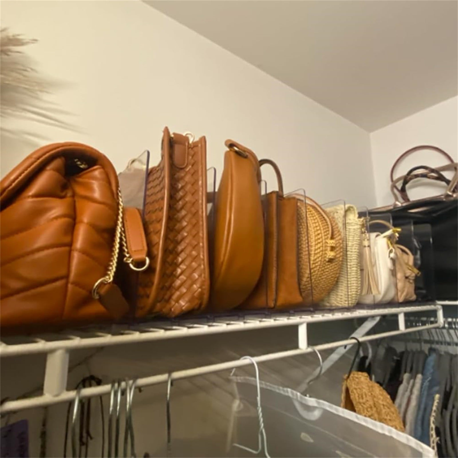 Leather Handbags Ways To Store Purses In Closet Dividers Cupboard