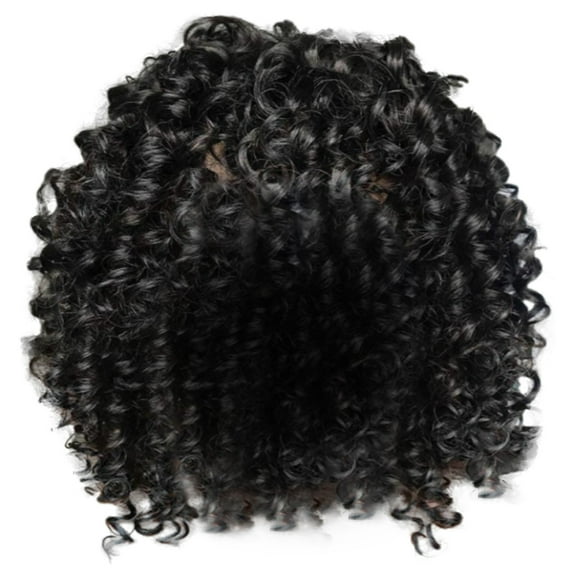 LHWEN European And American Small Curly African Ladies Wig Rod Fluffy Fiber High Temperature Silk Headgear Suitable For Black Women Beauty Salon Straight Hair Fun Lace Wavy Curls