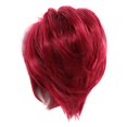 thumbnail image 1 of LHWEN Female Hair Bag Ball Head Wig Button Flower Bag Wig, Hair Ring, Round Hair, , Bun, Female Hair Bag, Ball Head Wig, Button Flower Bag Beauty Salon Straight Hair Fun Lace Wavy Curls Braided Hair, 1 of 9