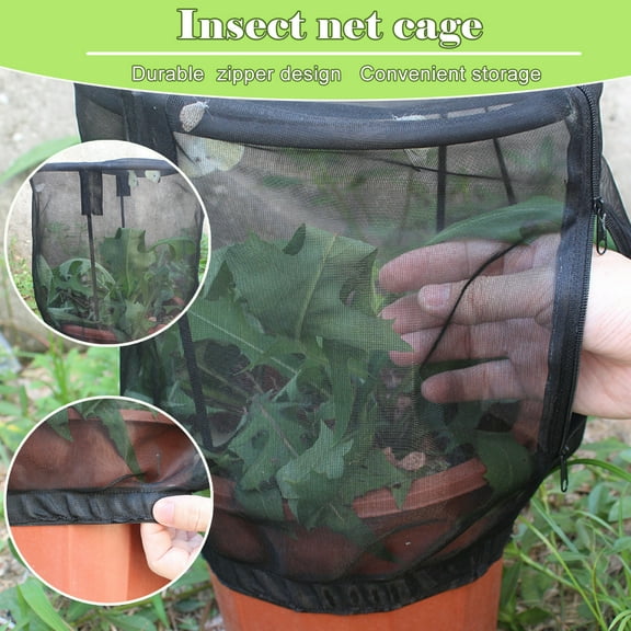 LHWEN Foldable Mesh Plant Pot Insect Cage Breathable Comfortable and Easy to Store Large Zipper Opening Ideal for Watching Butterflies Metamorphose Includes 1 Insect Cage