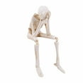 thumbnail image 1 of LHWEN Halloween Skeleton Statues Set Of 3 See Speak Hear No Evil Figurines Realistic Decorations For Home House Party Table Shelf Mantel Gothic Decor Antiqued Hand-Painted Skeletons Day Of The Dead, 1 of 9