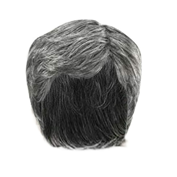LHWEN Men's Wig With Wig Net Natural White Hair Gray And Silver Hair Color Heat Wig Size Adjustable Beauty Salon Straight Hair Fun Lace Wavy Curls Braided Hair Synthetic Hair bohon Perfect eryday