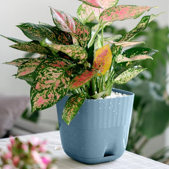 LHWEN Plastic Flower Pots with Multiple Holes and Trays Fall for Indoor Outdoor Plants Flowers Succulents Modern Home Decor Breathable Design Promotes Root Growth Suitable for Living Room Bedroom