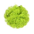thumbnail image 1 of LHWEN Potted Plants Garden Decoration Immortal Natural Dry Wedding Party Plant Crafts Floral Background Decoration Artificial Plants, 1 of 9