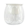 thumbnail image 1 of LHWEN Self Watering Planter Clear Plastic Automatic Watering Flower Pot for House Plants Transparent Easy to See Water and Convenient for Busy Plant Owners, 1 of 7