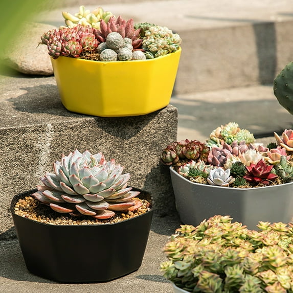 LHWEN Simple Plastic Planter With Saucer Stylish And Lightweight Planter For Indoor And Outdoor Use Indoor Plants Herbs And Flowers Modern Design With Drainage Holes Home And Office