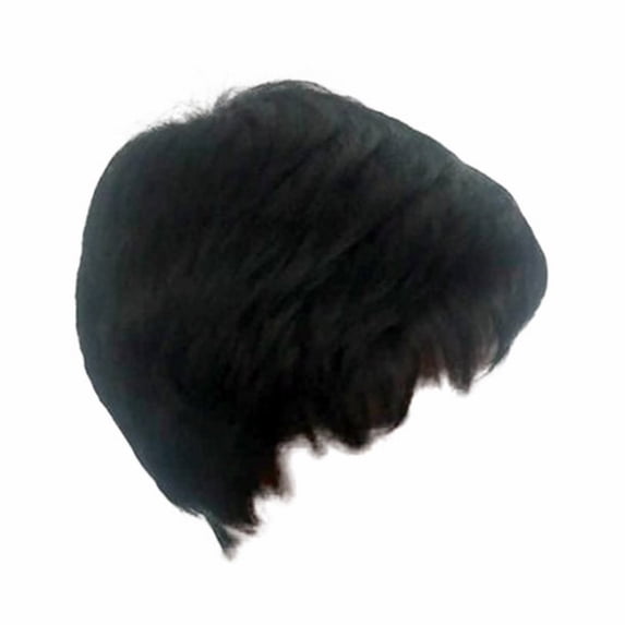 LHWEN Women's Wig Black Fiber High Temperature African False Head Cover Curly Human Hair Wig Glueless Lace Front Human Hair Beauty Salon Straight Hair Fun Lace Wavy Curls Braided Hair Synthetic Hair