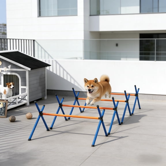 LHYY Pet Agility Equipment,Dog Agility Course Garden Set,Dog Agility Equipment