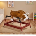 thumbnail image 1 of LHYY Spring Rocking Horse, 1 of 6