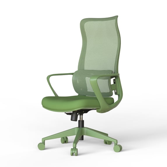 LIANGKA Green Ergonomic Mesh Office Chair 350 LBS High Back Computer ...