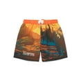 thumbnail image 1 of National Park Foundation Boys Swim Shorts with UPF50, Sizes 4-14, 1 of 3