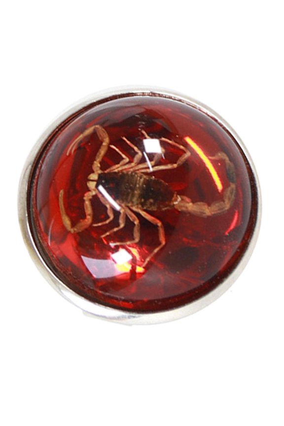 O Fashion Opening Rings Unisex Scorpion Accessories Trendy Jewelry Collection Gift