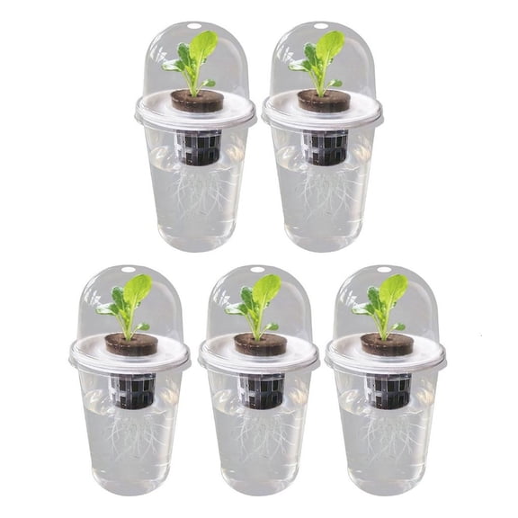 LICEWO Hydroponic Seedling Planter Pots Transparency Root View Cups Plastic Cups