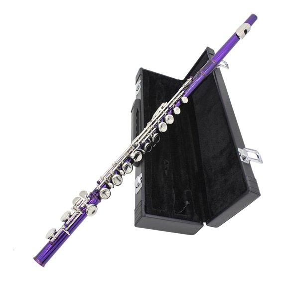 LICEWO Professional Horizontal Flute With Bag Cleaning Cloth Stick 16 Hole C Tone Closed Hole Flute Woodwind Instrument