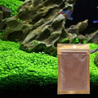 5g Aquarium Grass Plant Seeds Home Fish Tank Small Plant Foreground  Decortion ~