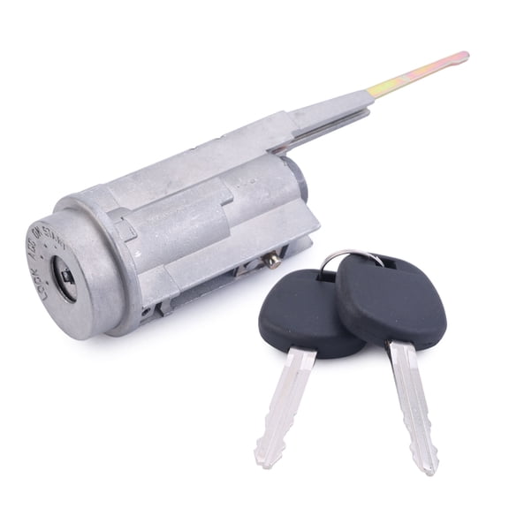 LICHENGTAI Ignition Lock Cylinder with 2 Keys Replace 89073-48020 for 1999-2003 Lexus RX300 Metal Durable Easy Install