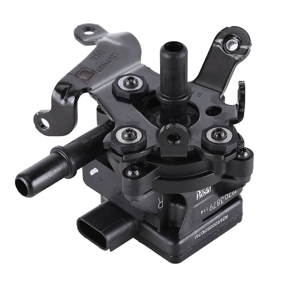 LICHENGTAI Vapor Canister Purge Pump Replace 12703879 for GM Universal Iron Durable High Reliability