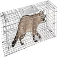 LIDNGLN Large Foldable Steel Cat Trap Cage for Live Animals 32”X13”X11