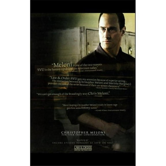 LIEBERMANS Law & Order: Special Victims Unit - Poster - 11x17