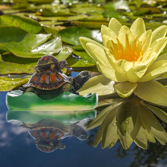 LIFKOME 1Pack Floating Pond Turtle Assorted Color Waterproof Turtle Shape Decor