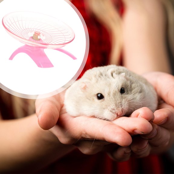 LIFKOME 1Pc Comfortable Pink Exercise Wheel for Small Animals Durable Run Disc Design
