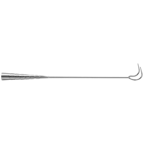 LIFKOME 1Pc Silver Stainless Steel Roast Hook Long Handle Kitchen Gadget for Grilling and Barbecue