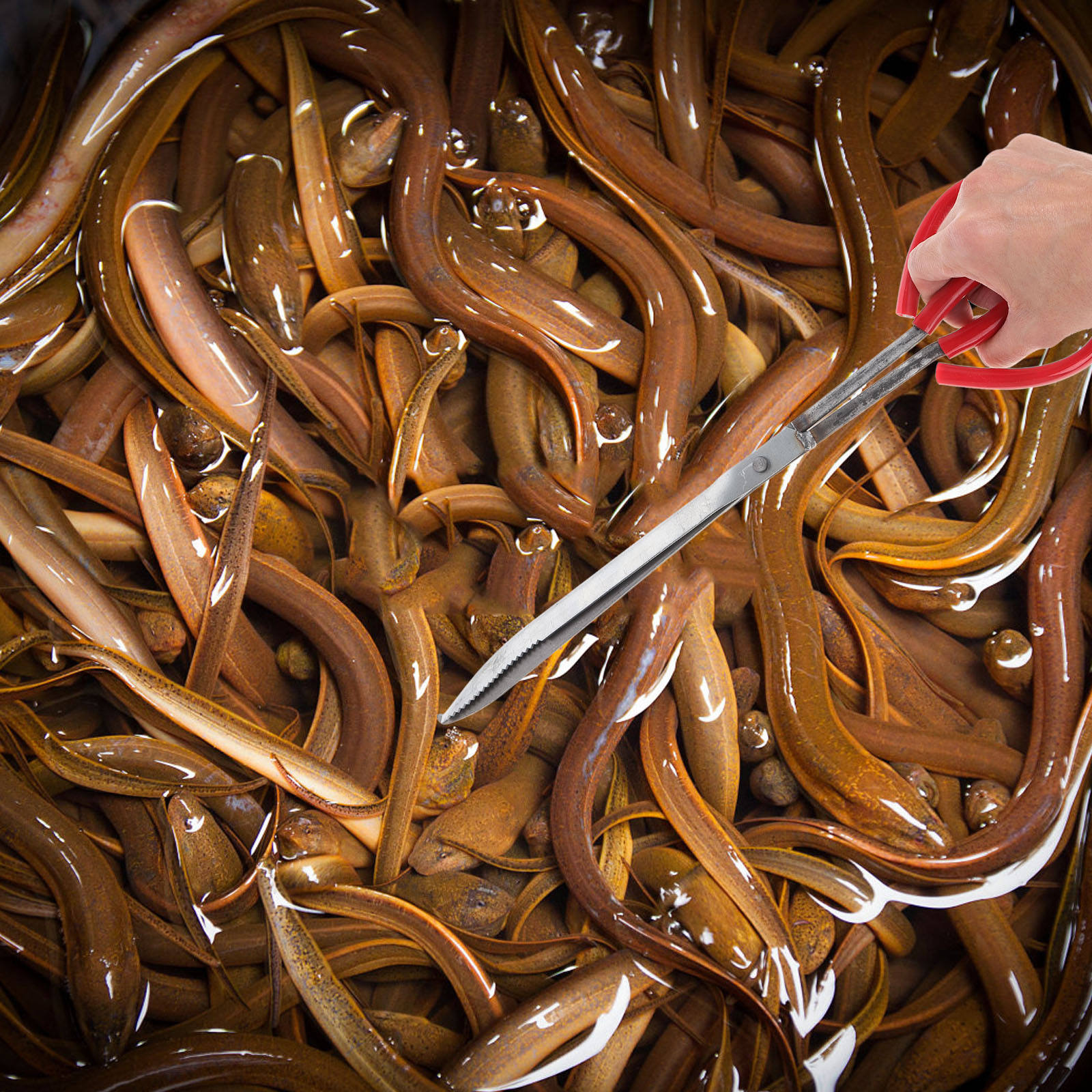 LIFKOME Crab Tong Multi-function Anti-slip Clamp Seafood Clip Crab Tong Fish Grabber Sea Crab Tong Sea Crab Clamping Tool Sea