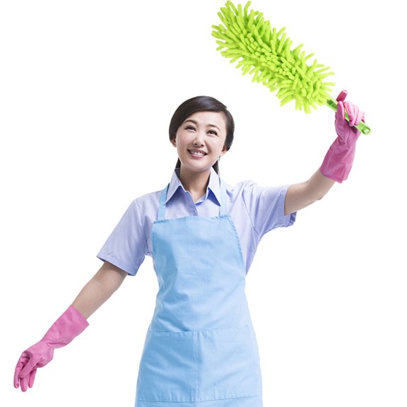 LIFKOME Practical Green Cleaning Duster for Car Dust Removal Soft Lightweight Home Use