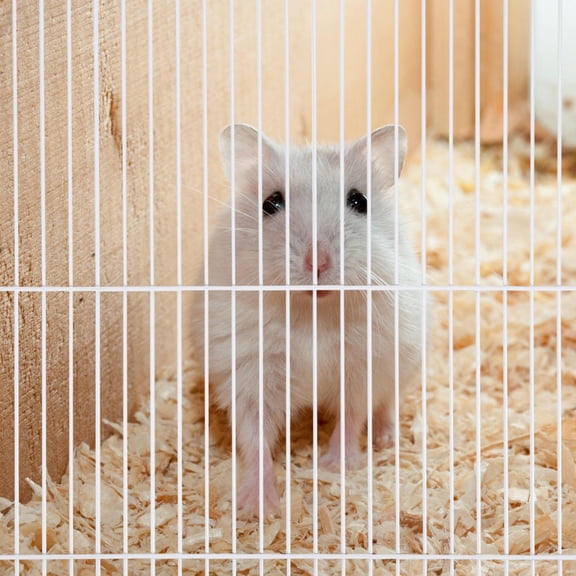 LIFKOME White Iron Small Animal Cage Divider for Hamster Habitat, 1 Piece Separator for Pet Enclosures